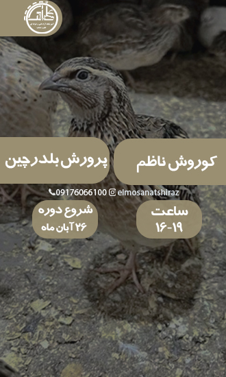 پرورش بلدرچین